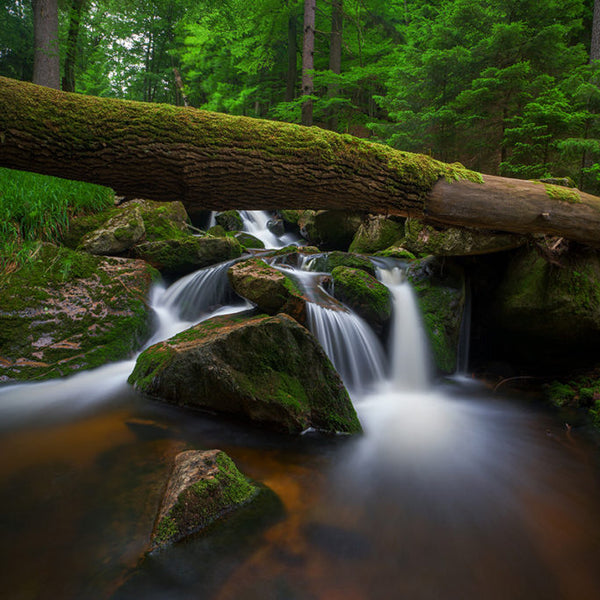 24.10.2024 – Landschaftsfotografie Workshop Harz mit Benjamin Jaworskyj