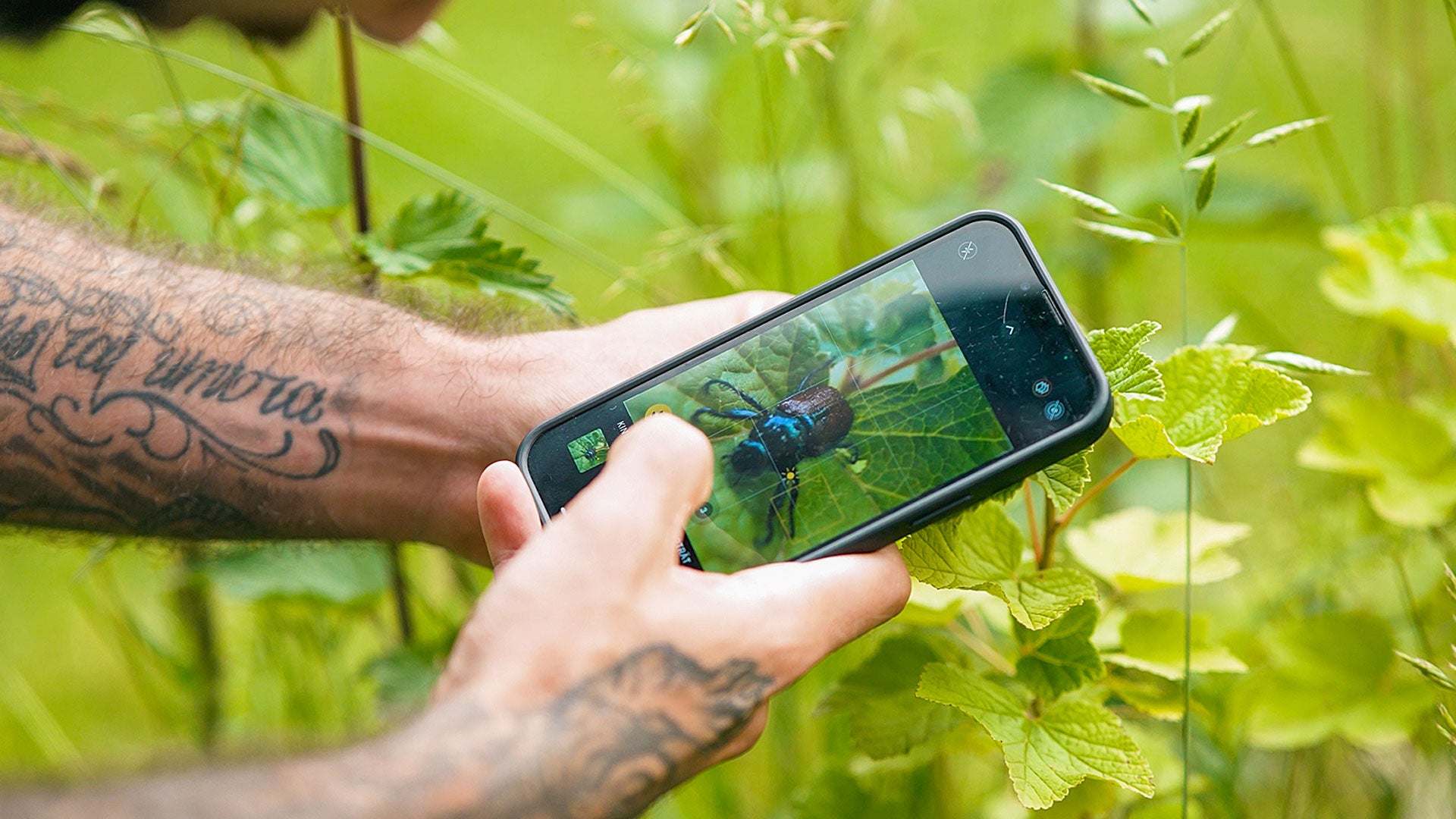 Smartphone Fotografie Kurs für Anfänger