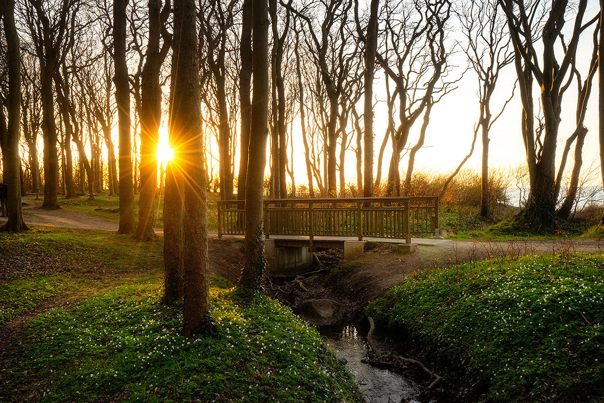 21.10.2024 Landschaftsfotografie Workshop Nienhagen (Ostsee) mit Benjamin Jaworskyj