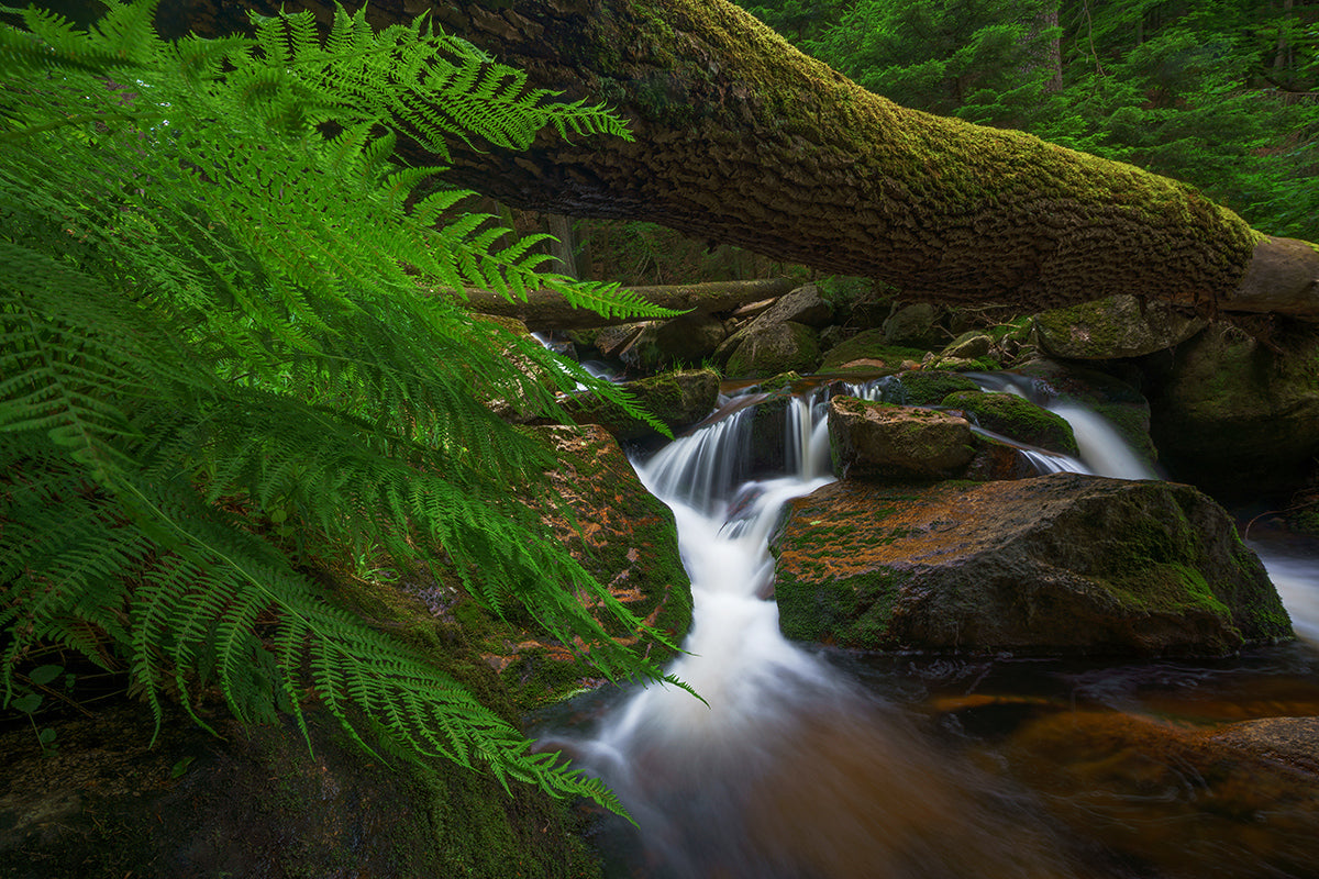 24.10.2024 – Landschaftsfotografie Workshop Harz mit Benjamin Jaworskyj