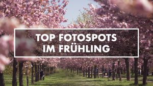 Top Fotospots im Frühling