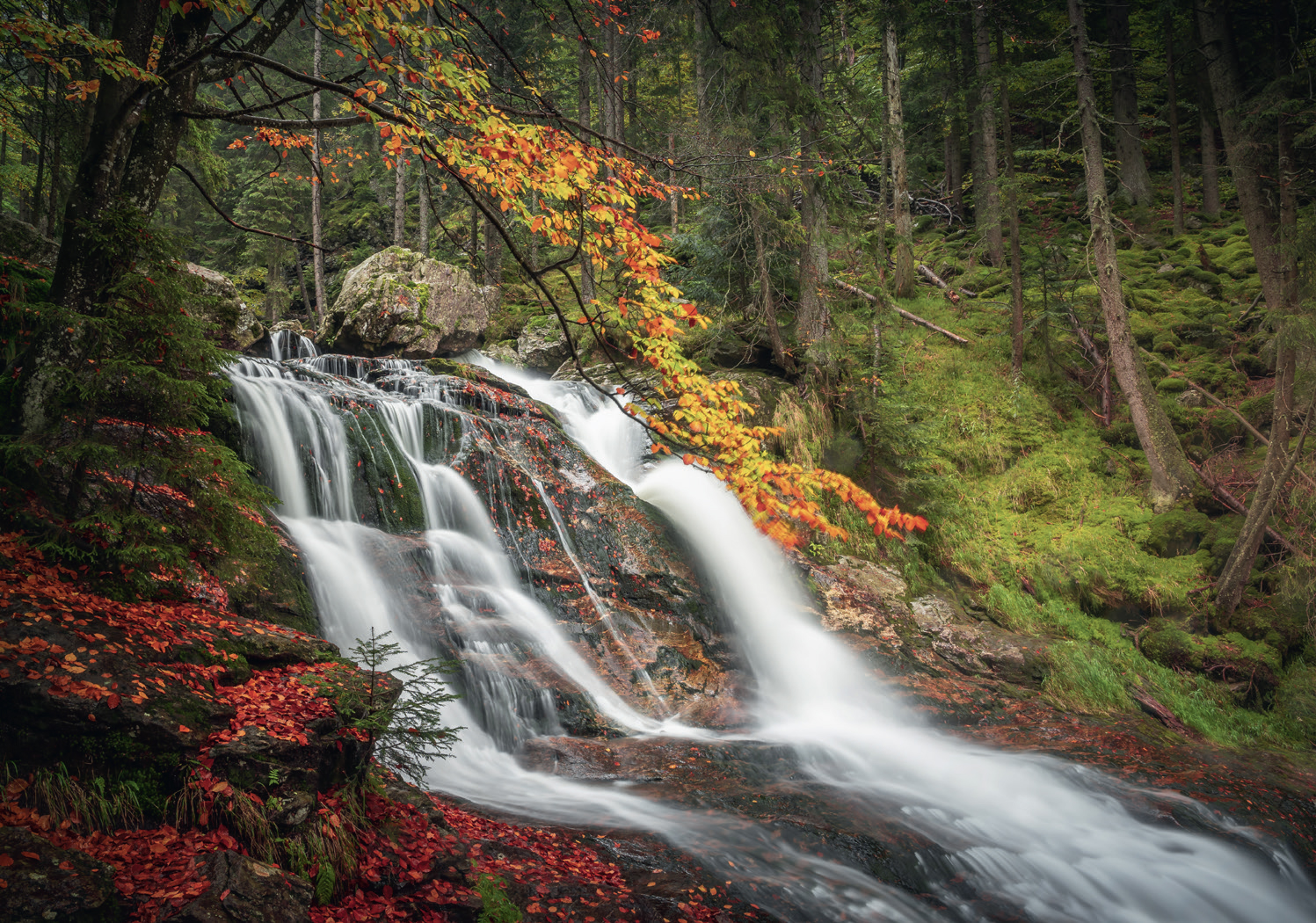 Fotomotive im Herbst Bayern Rissloch Wasserfälle jaworskyj Foto Reiseführer